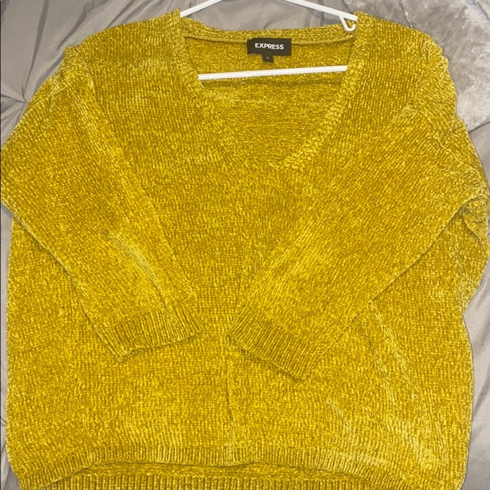 Express Sweater